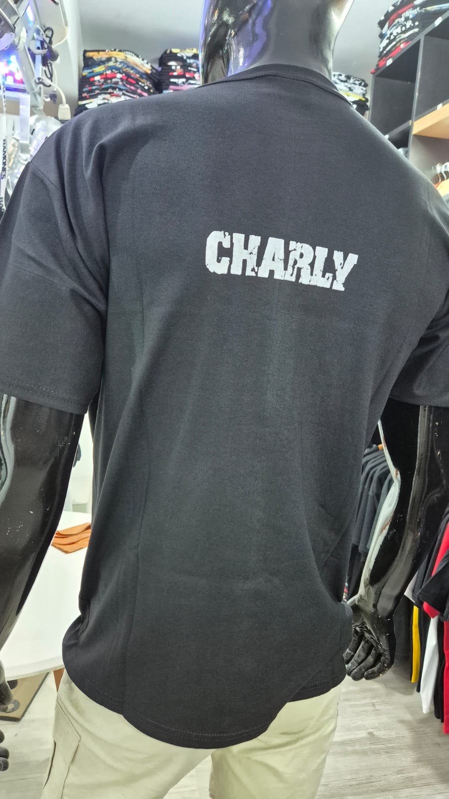 Alternative view of REMERA- CHARLY INFLUENCIA