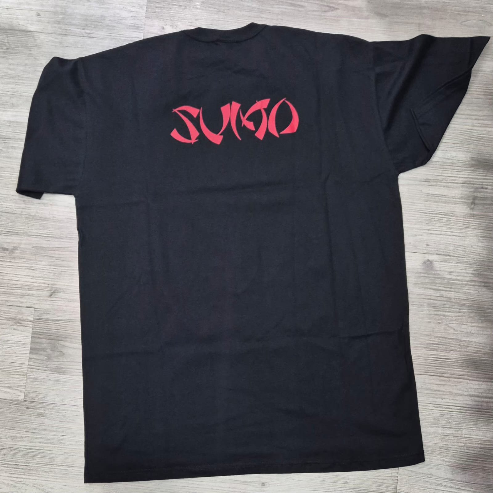 Alternative view of REMERA- SUMO